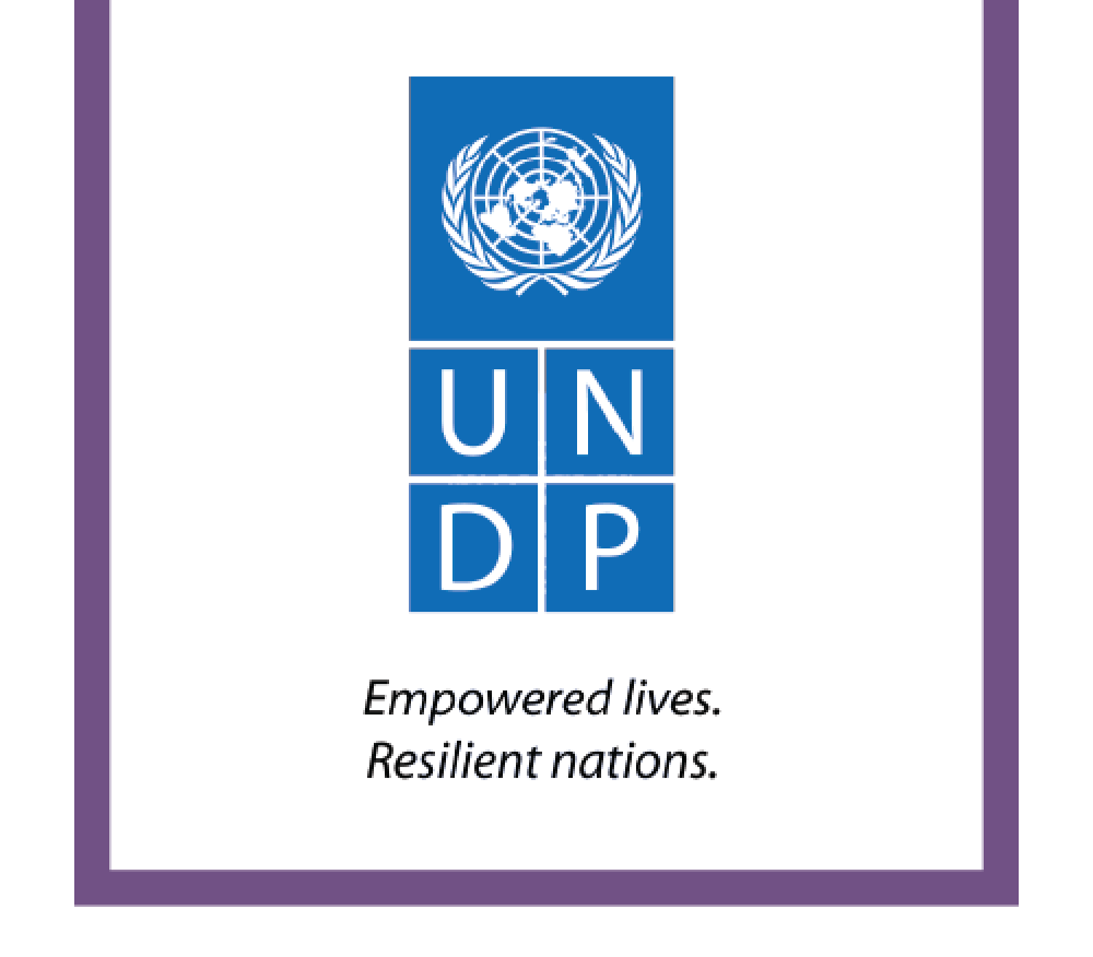 Birleşmiş Milletler Kalkınma Programı (UNDP)