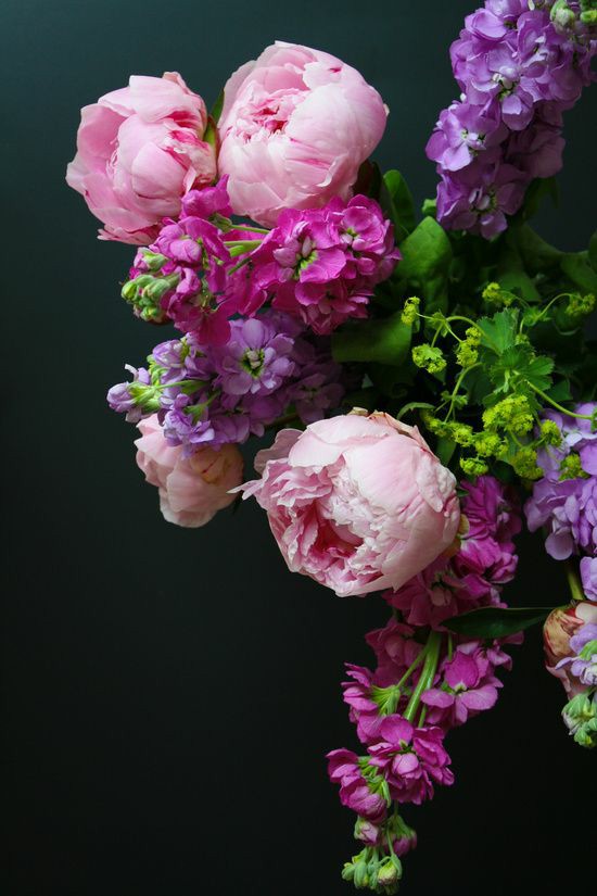 Doğa Ana Şifadır!