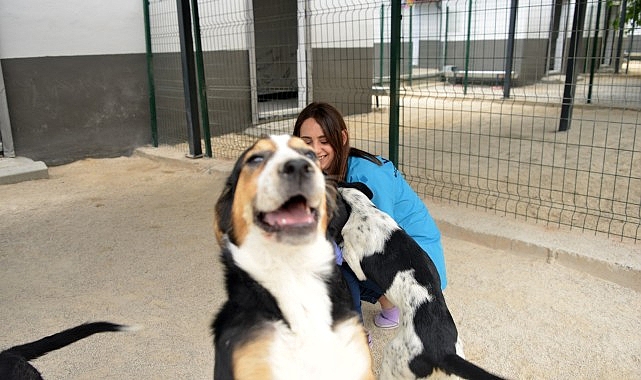 Mersin Yenişehir Belediyesi sokak hayvanları için 15 bin metrekarelik bakımevi oluşturdu – GÜNDEM