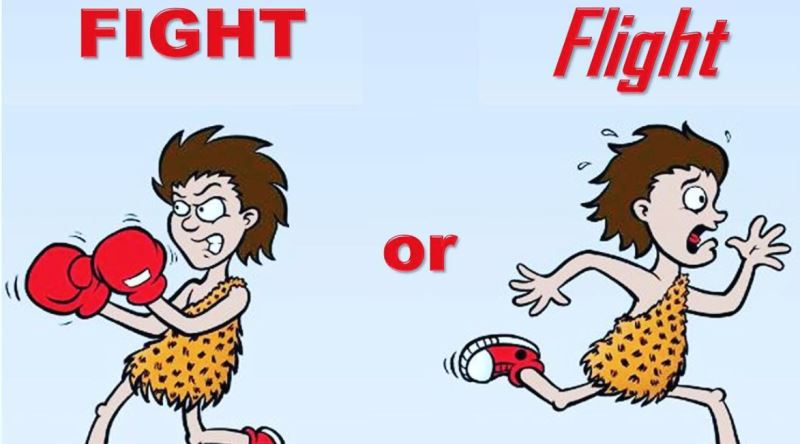 Onları Görünce Kaçın!!!