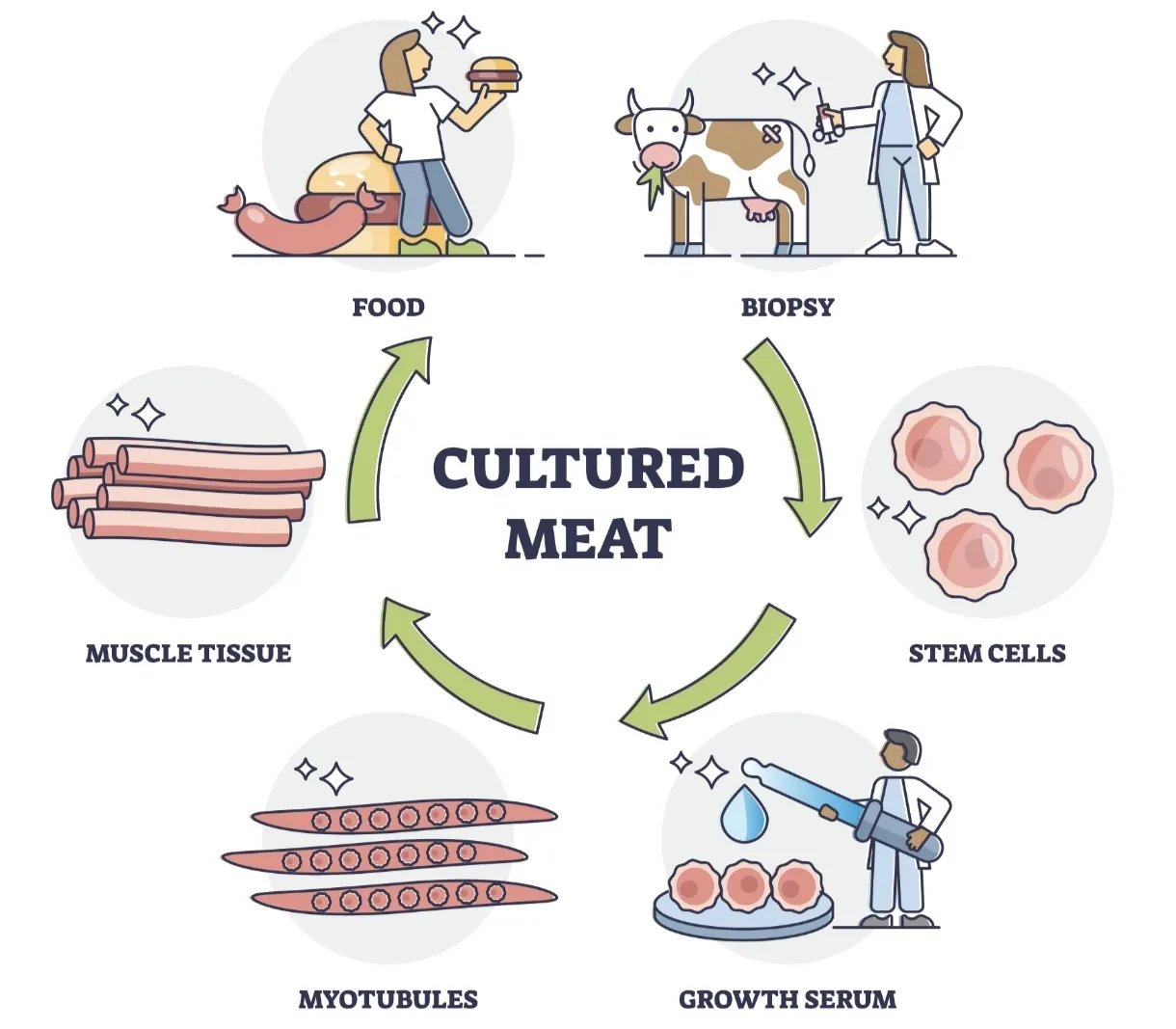 Türkiye’de Yapay Et Yasak mı? Tarım Bakanlığı’ndan Milyonları Rahatlatan Flaş Karar!