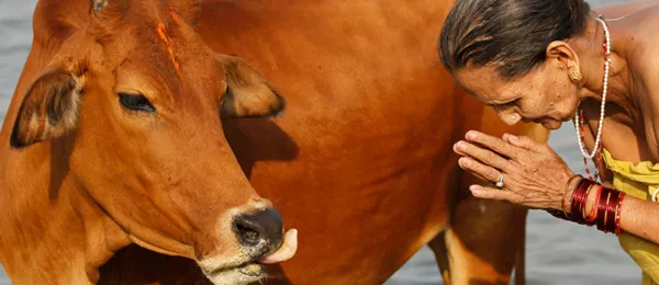 İngiltere’de Kebapçı da İnek Eti Çıkınca Hintli Müşteriler Saldırdı